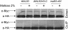 F<sc>igure</sc> 9.—