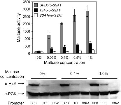 Figure 2.—