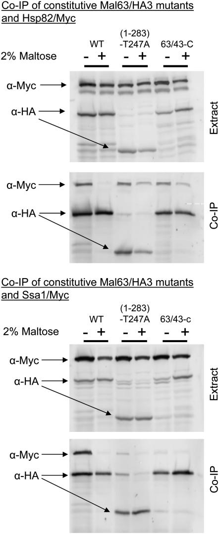 Figure 6.—