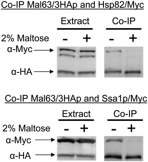 Figure 3.—