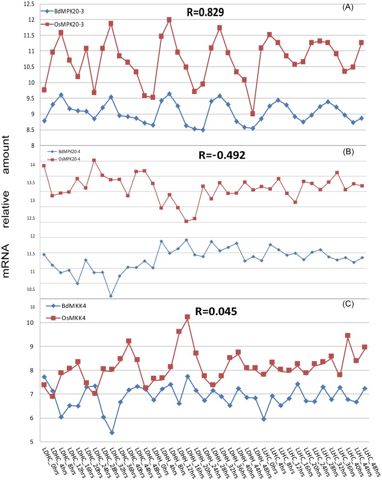 Figure 13