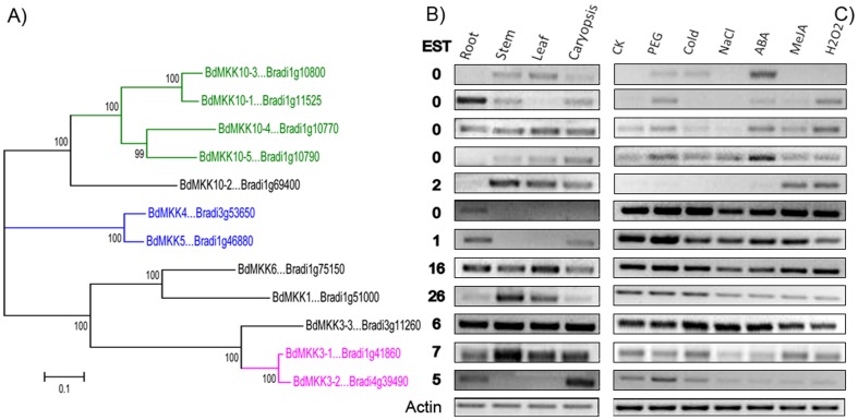 Figure 10