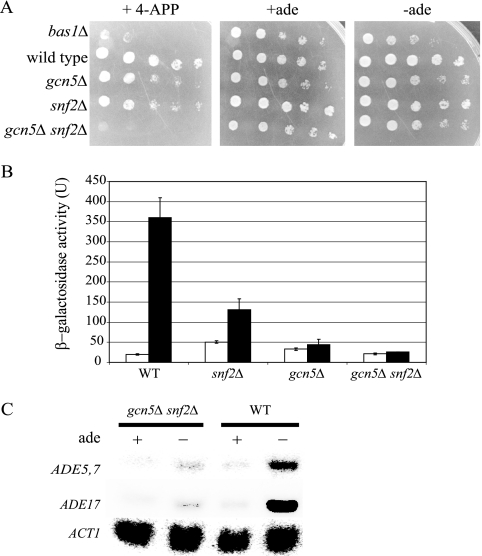 FIG. 9.