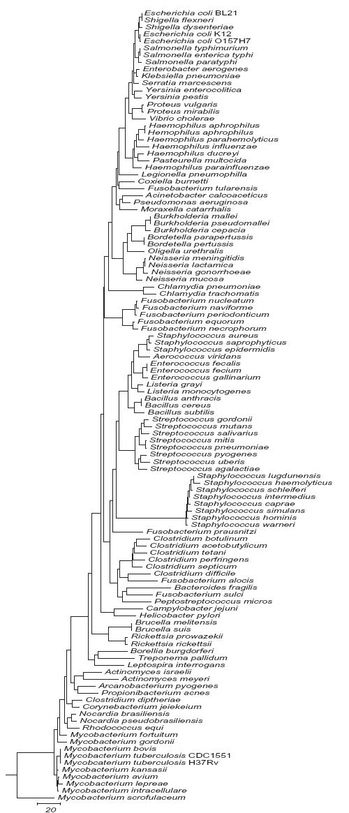 Fig.1