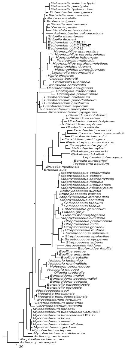 Fig.1