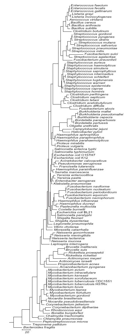 Fig.1