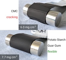 graphic file with name CSSC-13-763-g007.jpg