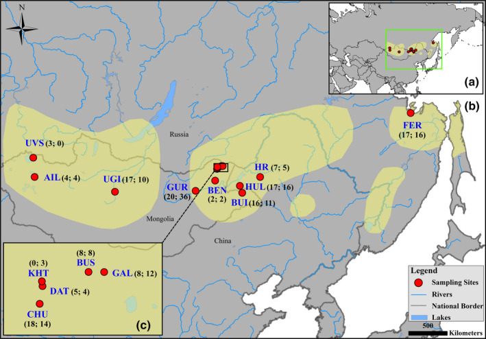 FIGURE 2