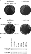 FIG. 1.
