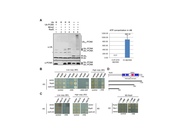 Figure 4.