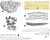 Figure 16.