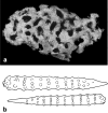 Figure 20.