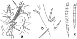Figure 17.