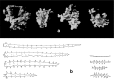 Figure 12.