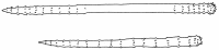 Figure 21.