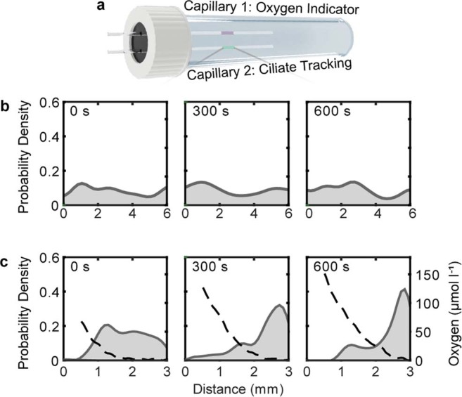 Extended Data Fig. 3