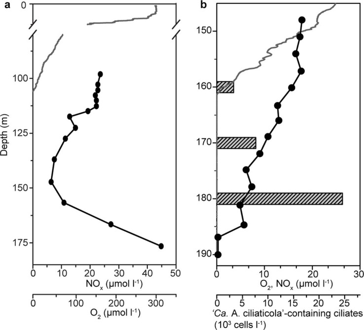 Extended Data Fig. 1