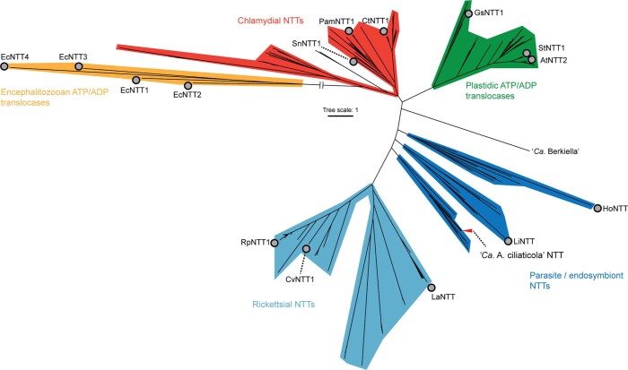 Extended Data Fig. 10