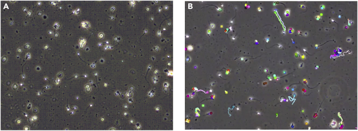 Figure 2