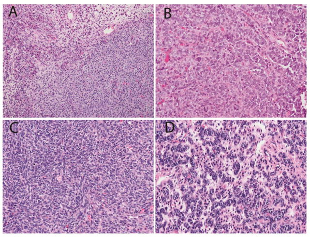 Fig. 2