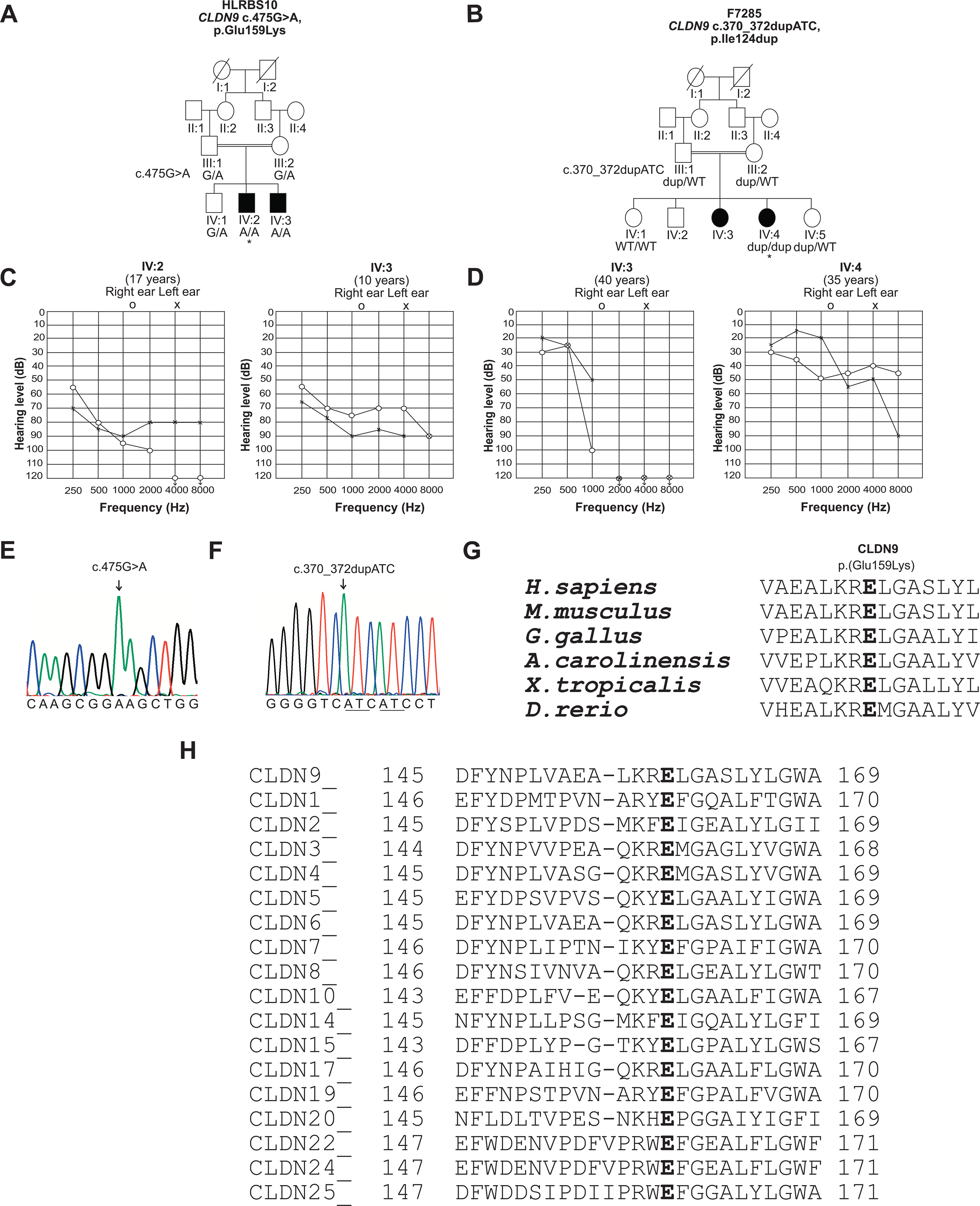 FIGURE 1: