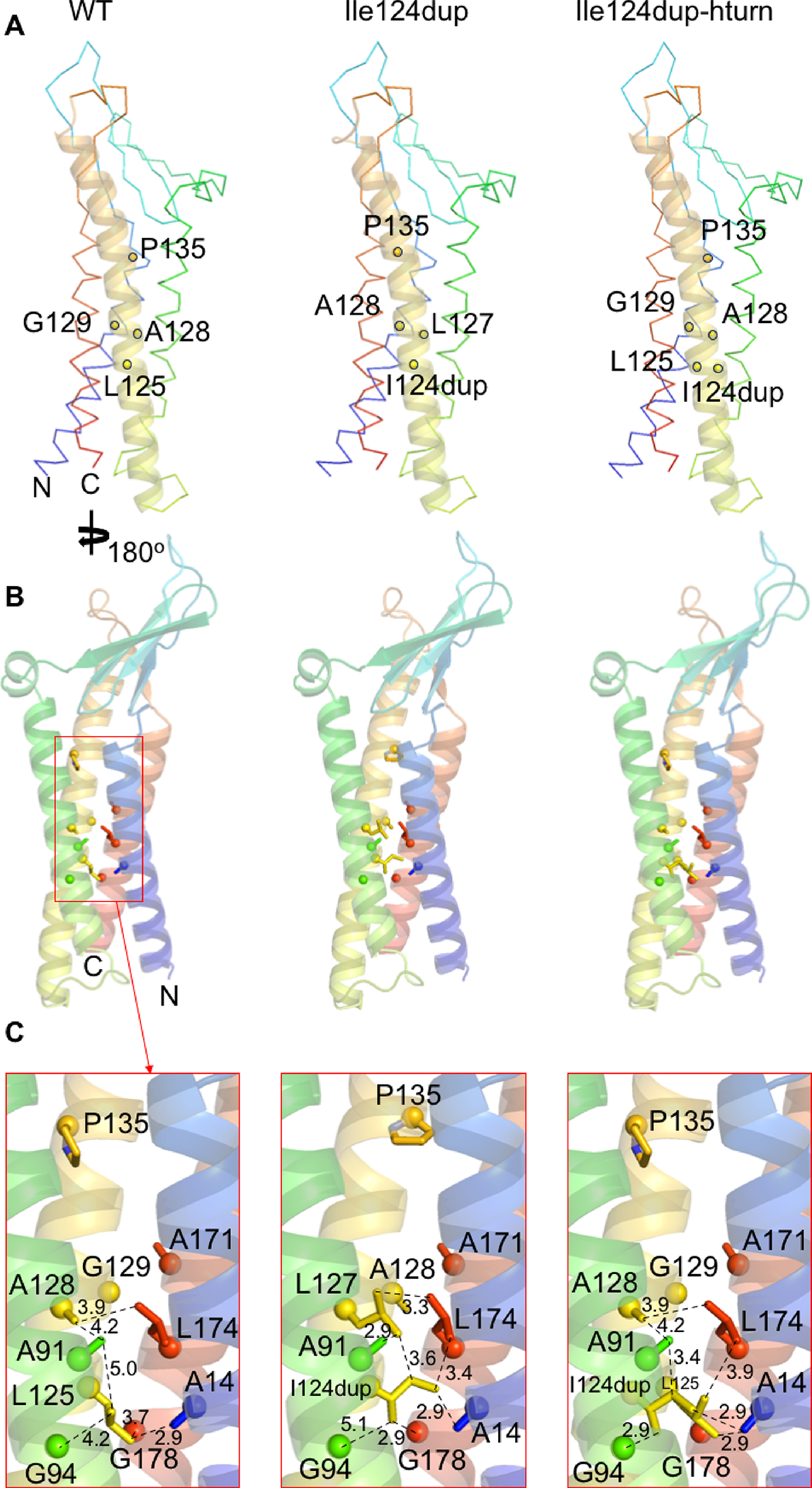 FIGURE 3: