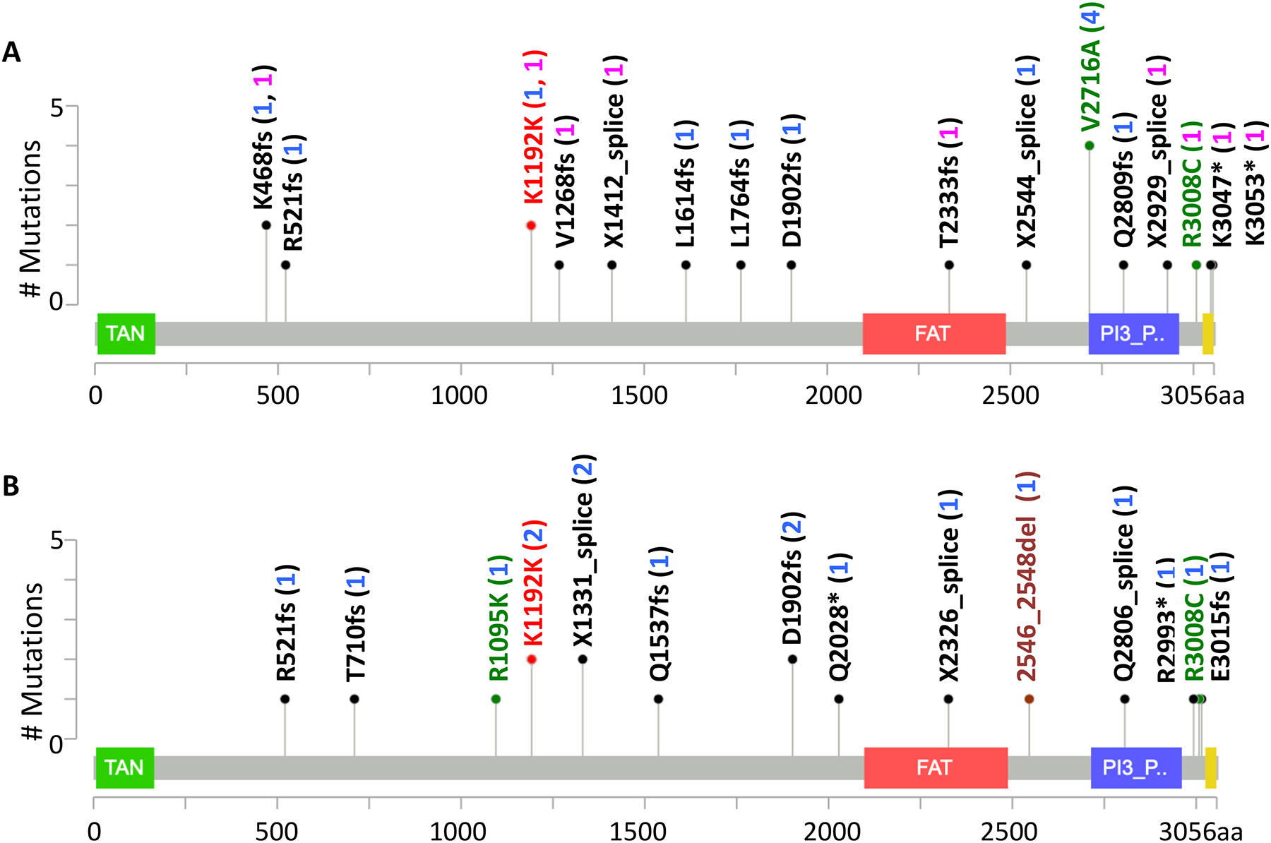 Figure 3: