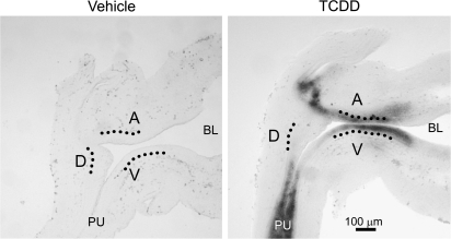 FIG. 9.