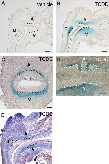 FIG. 7.