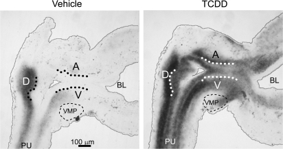 FIG. 8.