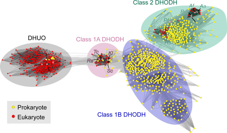 Fig 10