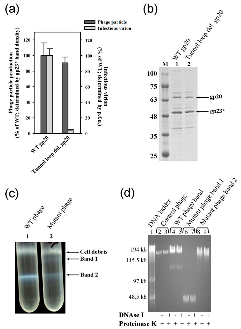 Fig. 10