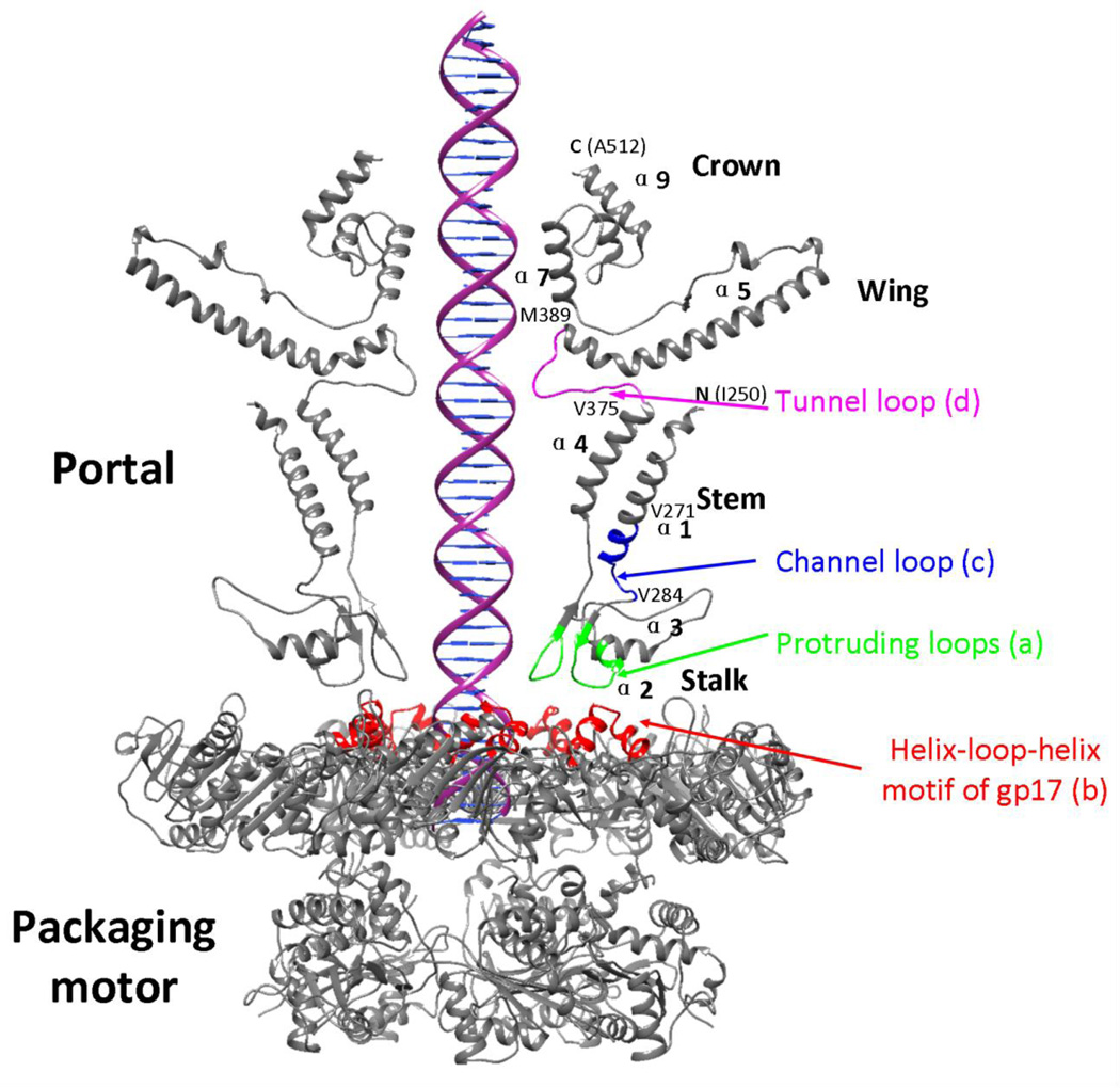 Fig. 6