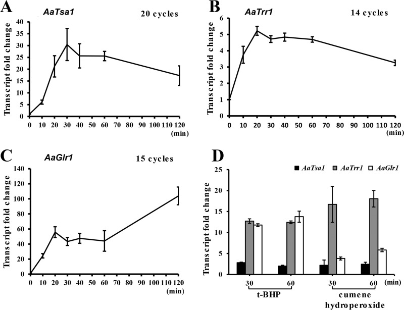 FIG 1