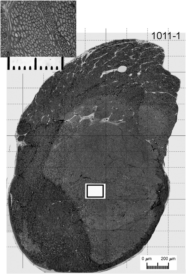 Fig. 2