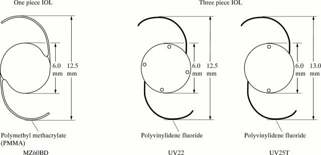 Figure 1  