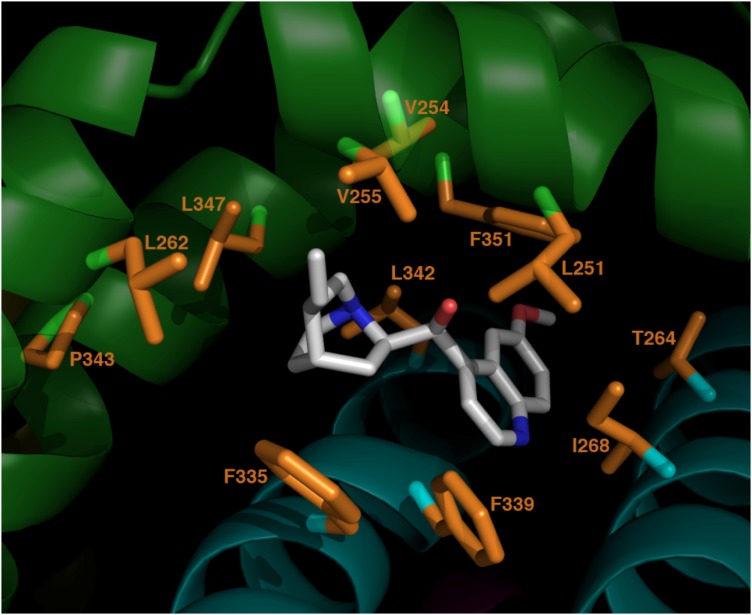 Fig. 8.