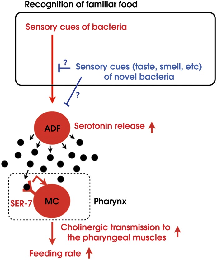 Figure 15.