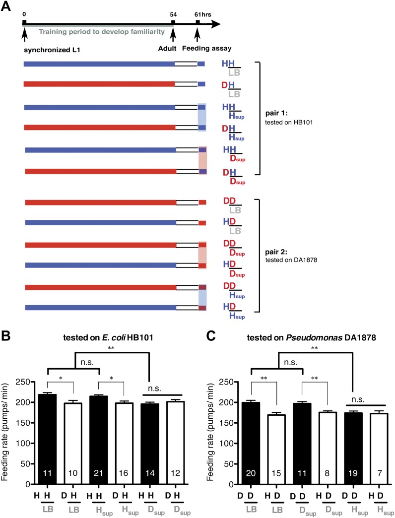 Figure 14.