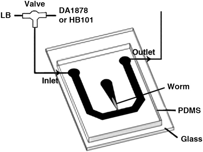 Figure 16.