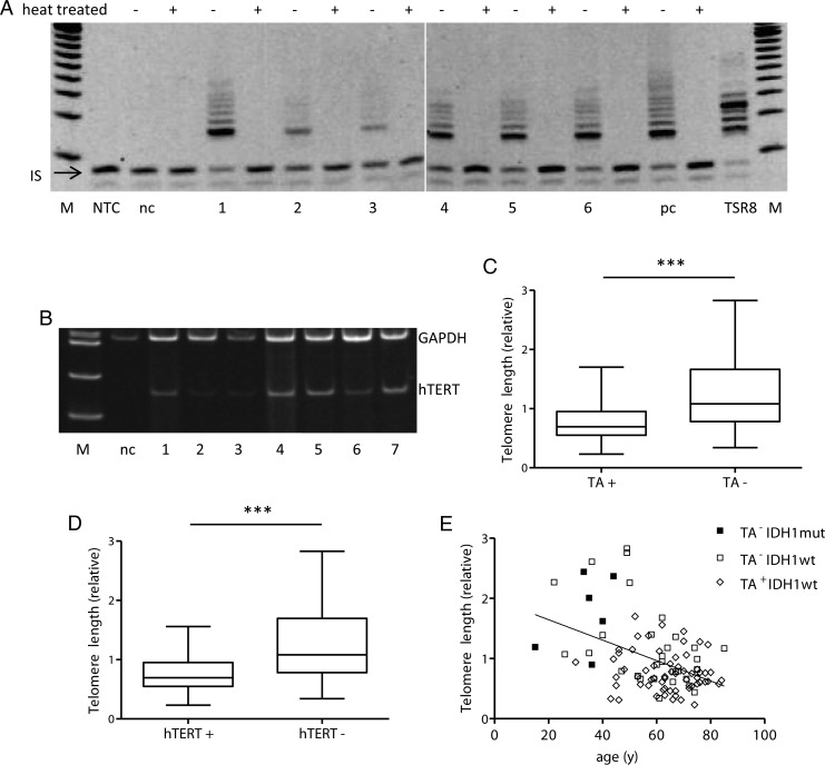 Fig. 1.