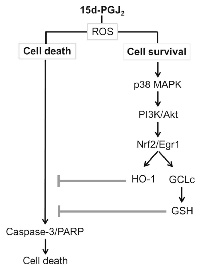 Fig. 11