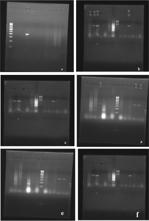 [Table/Fig-2a-f]: