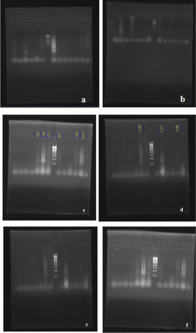 [Table/Fig-1a-f]: