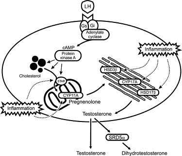 FIGURE 19.3