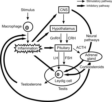 FIGURE 19.8