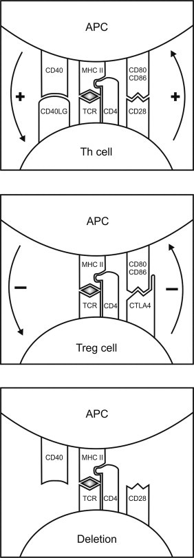 FIGURE 19.6