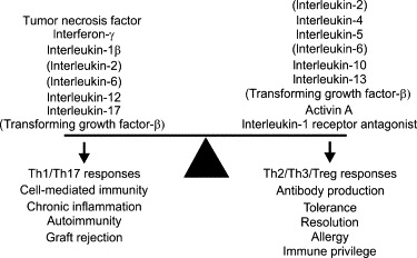 FIGURE 19.7