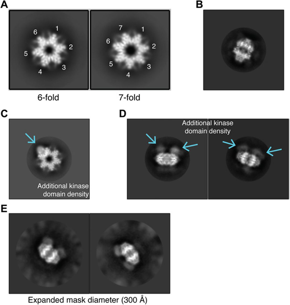 Fig. 4.