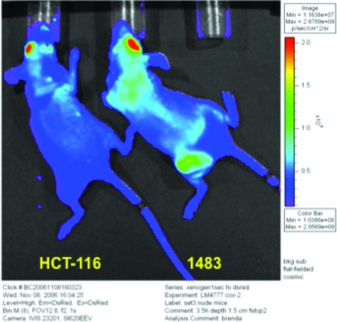 Figure 25